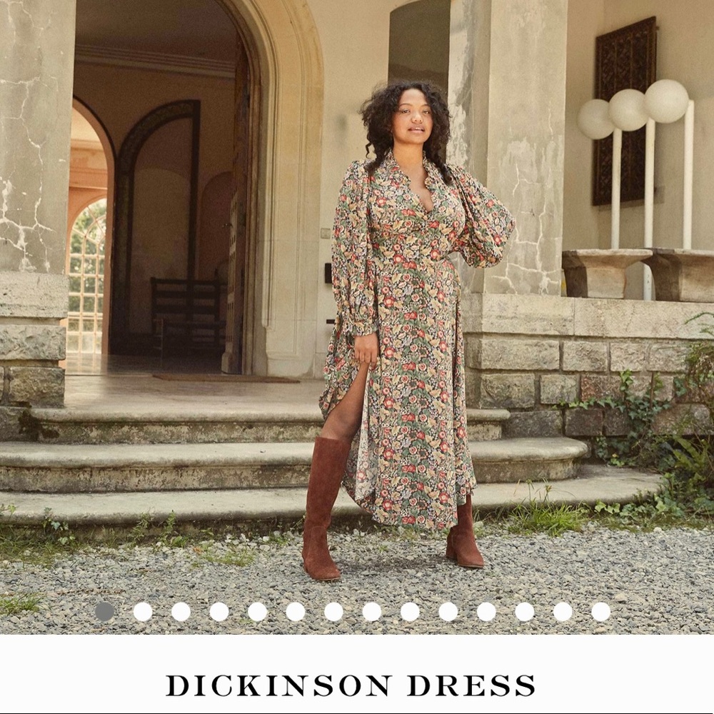 ISO Doen Dickinson dress, size L or XL